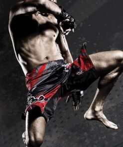 Fightshorts